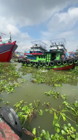 𝐄𝐠𝐨𝐥𝐧𝐨 𝐛𝐨𝐬 𝐚𝐫𝐢 🤘#promoseruweekend #fyp #promomakanmerdeka #promomakangajian #CapCut 