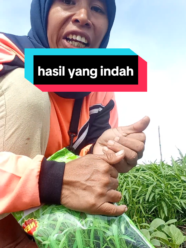 kangkung super indah#kangkung #tiktok #pasar 