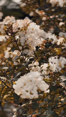 خدای دے چرتہ گیر کہ نو یاران بہ درمعلوم شی 😩🍂