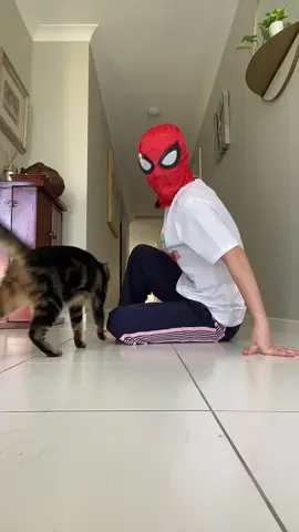 I made a mistake,, look me in my face  #dontforgettosmile❤️ #foryoupage #foryou #spidermangrooves #viralvideo 