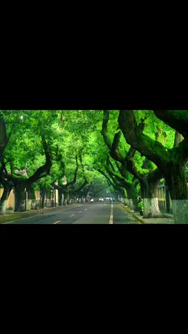 Tiếc nhỉ... #chualanh #tinhyeu #truongthanh#phattrienbanthan #chualanhtonthuong @suy cùng đời 