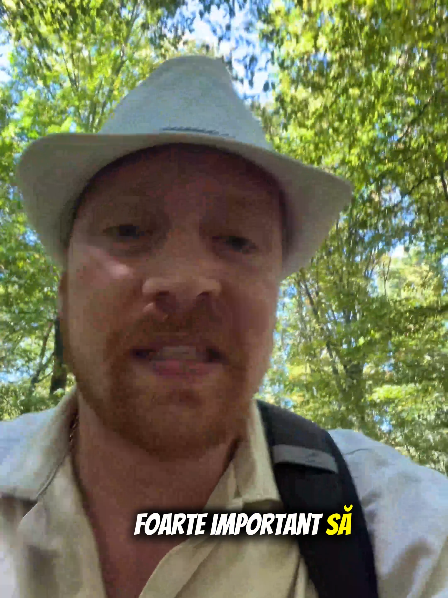 Asteptarea a luat sfarsit!