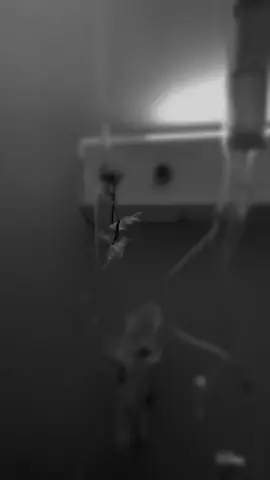 #اللهم_اشفي_امي_من_كل_مرض💔😔 