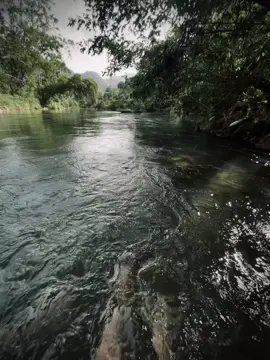 Vd không cap cho mn #binhyen #chill #xuhuongtiktok 