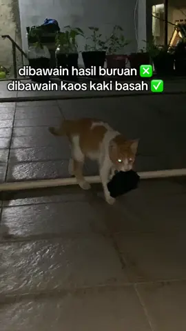 😩 kenapa si ?