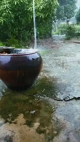 chiều buồn nhìn mưa rơi#canhmientay #nhactamtrang #nhachaymoingay #xuhuongtiktok #64_vinhlong 