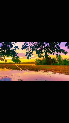 Xe hư mới có video quay á chời🤧 #chill#phongcanh#mientay#hoanghon#fyp  