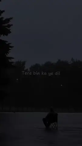 Saiyaara>>>>>>>>>>🥺🫶🏻 #terebinkyayehdilabdharakpayega 