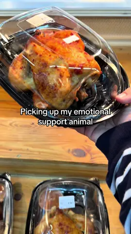 My emotional support animal 