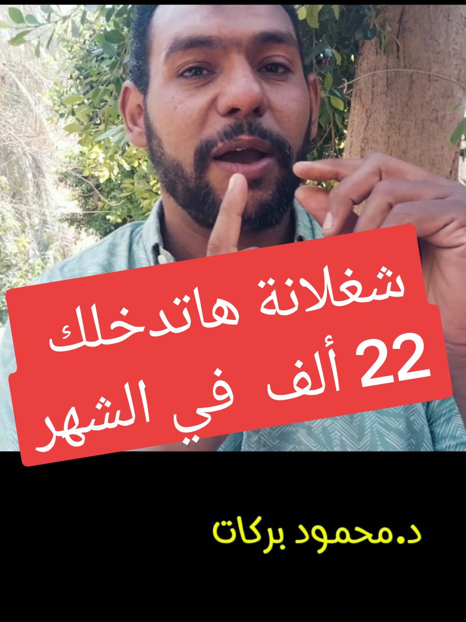 شغلانة هاتدخلك ٢٢ الف في الشهر  #اغنام #حلال #مزارع #استثمار_حيواني #تسمين