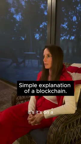 I needed a second shot at describing a public, decentralized blockchain.  #Bitcoin #Digitalasstets #Crypto