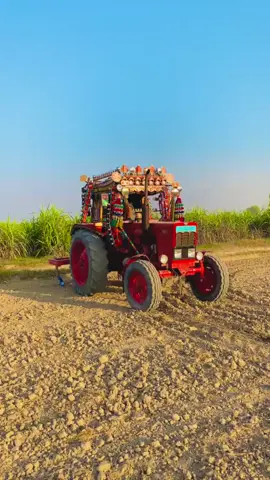 #dahri_farman #Dahri #laik♥️ #fallow #@میر مصور ڏاھري❤ @МŔ ŹŐĤĂĨβ ĎĂĤŔĨ @Zohaib Sindhi 