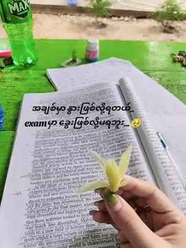 မရဘူး🥹#exam #မြင်ပါများပြီးချစ်ကျွမ်းဝင်အောင်လို့😜🤗 #ပါးဖောင်းဖောင်းနဲ့ကောင်မလေး #စလင်းသူလေး #ရေနံချောင်းတက္ကသိုလ်👩‍🎓 