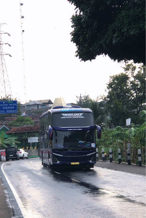Jyan gayeng poll 🤣🤣 @phdtrans  @Bagus Pee  @yudharachman  @Riston jabrik 
