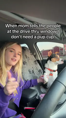 Poor hanky, so mistreated #dog #coffee #pupcup