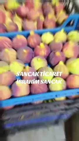 😉Ama bilakis sancak ticarette çalışıyorum😂@sancak  ibo @özgür Sancak 