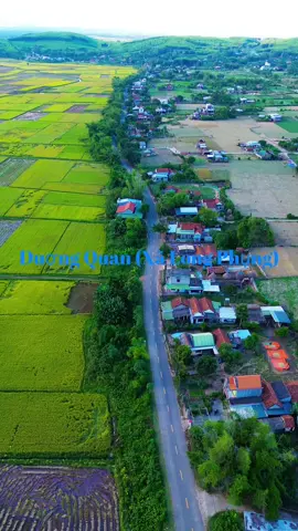 miền quê mùa lúa chín#xãlongphụng#xuhuong#76quangngai #mienque #mini3