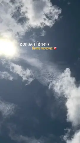 প্রয়োজনে প্রয়োজন           ......     ছিলাম অনেকের🖤