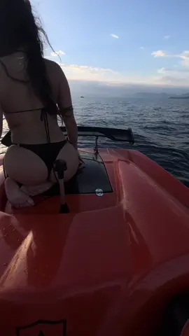 #viral #fyp #habibicometoksamil #cllevioserbiano44 #Luzz🏴‍☠️