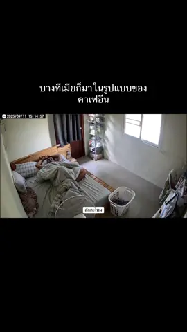 ถ้าไม่มีผ้ากูคงเตะพัดลมให้พังแล้วนั่งประกอบ @ลักกะไหม 