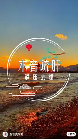 ÂM NHẠC DƯỠNG SINH. #duongsinhtrunghoa #biquyettruongsinh #biquyetsongkhoe 