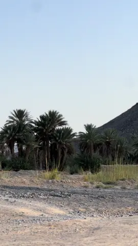 #foupyoupage @Shoaib Notezai376 @ARSALAN QAMBERZAI @🦋🥀 Arif Jan 423 🥀🦋 @ASSAD_MALANG.007 