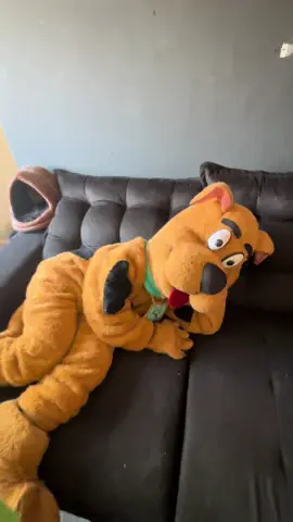 Scoobydoo só não deixa pegar no bumbum hahaha  Scooby é só um carinho 😂 #scoobydoo #salsicha #maquinademisterio #fy #dogsoftiktok 