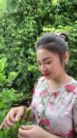 Các bác ơi e về với người ☺️☺️☺️😅😅😅🌹🌹🌹❤️❤️❤️#emvevoinguoi#xuhuong #xuhuong2025tiktok #viralvideo #lenxuhuong_tiktok2025 #nguyenlysonghanhphuc 