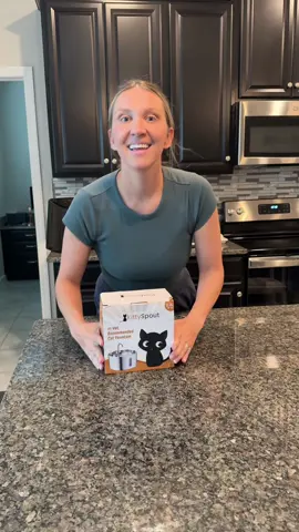 9/10 Cats Choose KittySpout Over A Slimy Bowl!