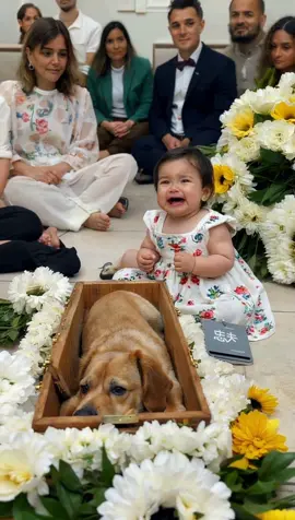 Baby Crying at Dogs Funeral 🥺😔😢 #fyp #baby #dog #rip #viralvideos 