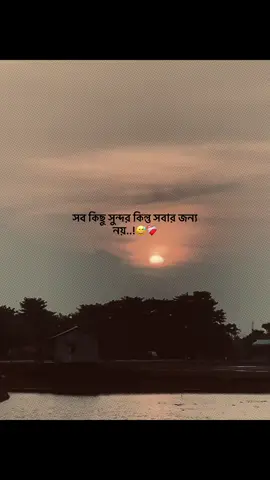 সব কিছু সুন্দর কিন্তু সবার জন্য নয়..!😅❤️‍🩹#foryou #trending #tufayel100k #popularvideo #captionvideo 
