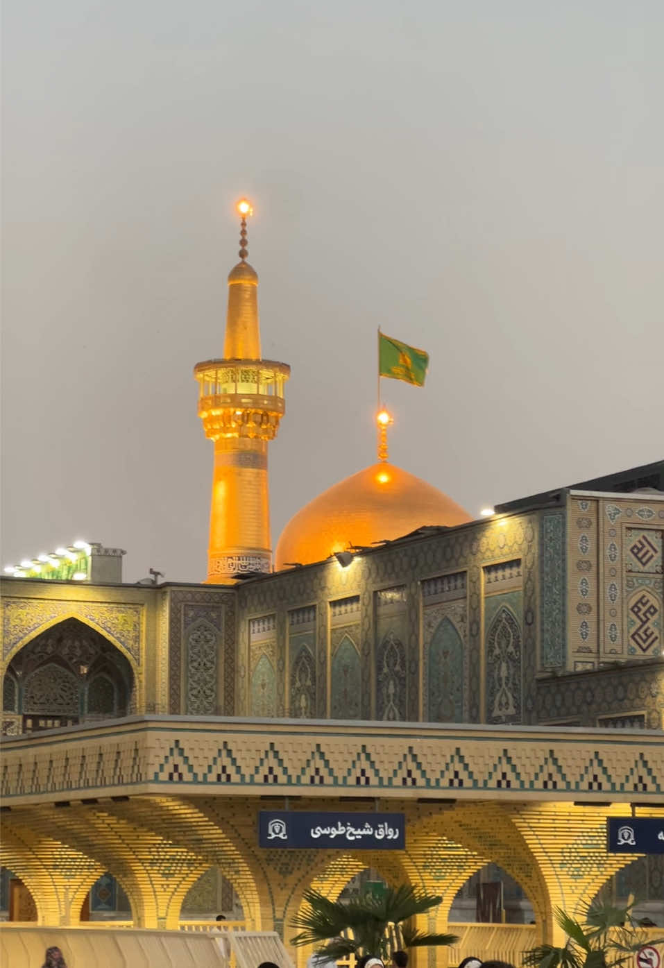 کبوترم هوایی شدم 🕊️❤️🥺  #imamraza  #mashhad  #foryou #viral #trending 