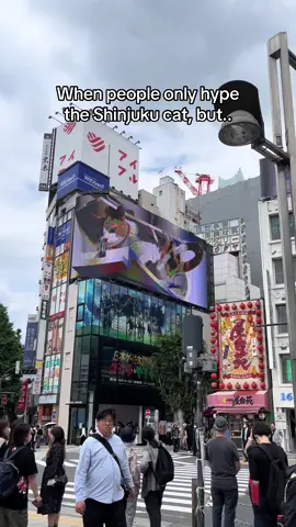 Dotonbori Akita appreciation post 🫶🏼 #japan #traveltok #golden #tokyo #explore 