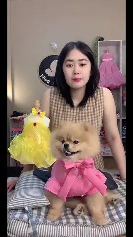 gising ang pawdel 😁 #petliveseller #petlover #petclothes #styleitdaily 