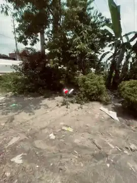 যার জন্য আমার অন্তর পরে ছায় খুজ নিয়ে দেহি #foryou #fyp_viral #Bangladesh 