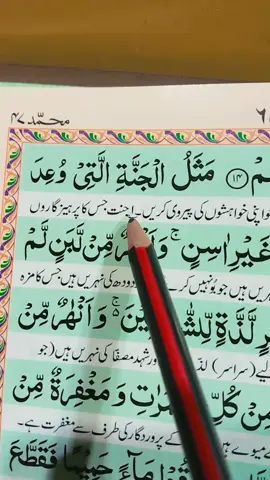 وہ جنت جس کا پرہیزگاروں سے وعدہ کیا گیا ہے#hy #surah#muhammad #ayatno14 #videoviral 