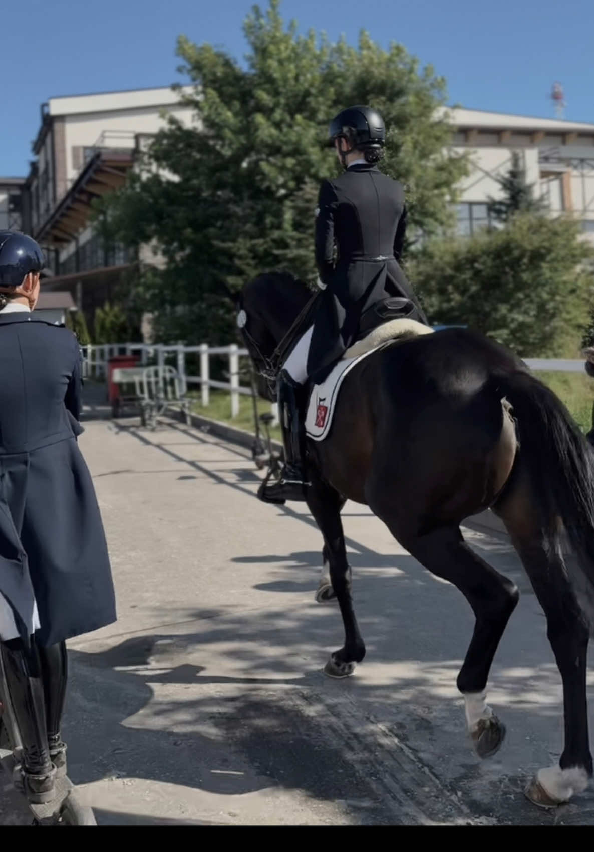 entering the arena like this >>  #fyp #foryou #competition #horses #equestrian 