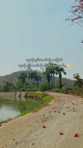 သူများတွေ နှစ်ကိုယ်တူ ဂဟေဆက်တဲ့အချိန်ကိုကျော်ပြီး နှစ်ယောက်တည်းသင်္ကြန်ရောက်ပါပြီ😆💛 @Htet Lynn Naing ❤️ #foryou #booklover #booksoftiktok #foryoupage #fyp 