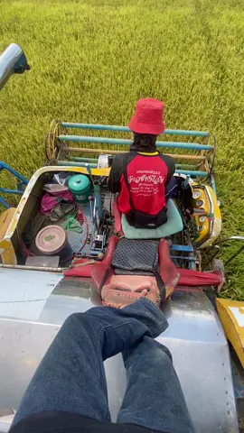 จริงคับ❤️‍🩹😿#ลงสตรอรี่ได้ #เธรด #ดันขึ้นฟีดที #เปิดการมองเห็น #tiktok #วัยรุ่นเกี่ยวข้าว🌾🌾 #จ้าวช้างไวไฟ🐘 #วิวบ้านนอก🍃 #ฟีดดดดดดดดดด🥺 #พรรุ่งโรจน์ #ฟีดดดシ #รถเกี่ยว #จ้างช้างไวไฟ🌾 #เกี่ยวแต่ง 