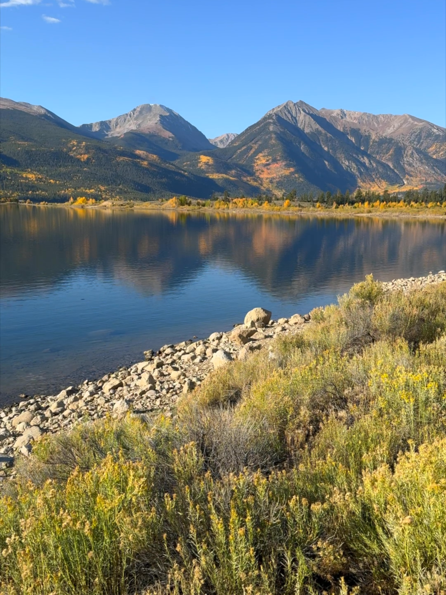 🍂✨ Threw it back to last fall (mid-September) when I stopped at Twin Lakes for a quick break. The morning was socalm the mountains looked like a mirror on the water 🪞🏔️ Pure Colorado magic. Moments like this are why I’ll never get tired of fall in the Rockies. 💛🌄 #colorado #RockyMountains #ColoradoRockies #ColoradoVibes #fall