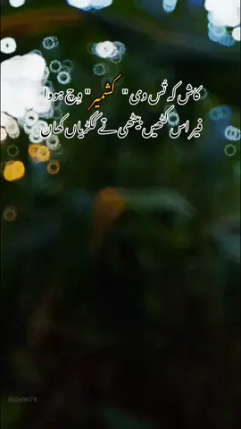 ککڑیاں کھا لیا ؟ #Kashmiri  #fyp  #باغ_آزاد_کشمیر   #foryoupage  #standwithkashmir 