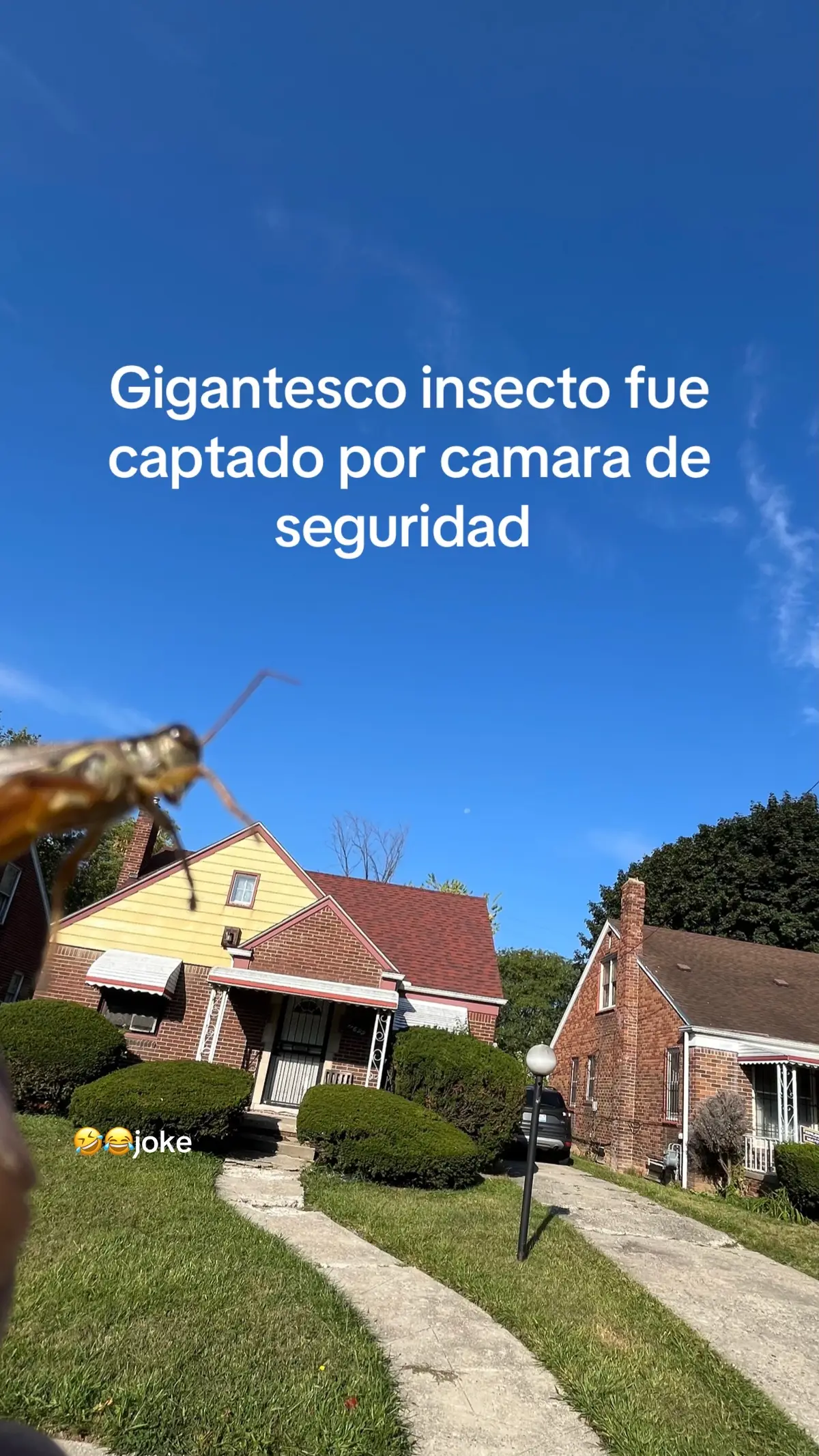 #calentamientoglobal #frpシ #insane #insect 