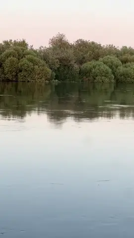 #Abu_yehia __🇮🇶