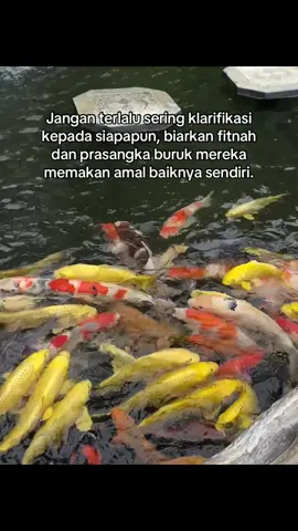 #4u #berandatiktok #masukberandafyp 