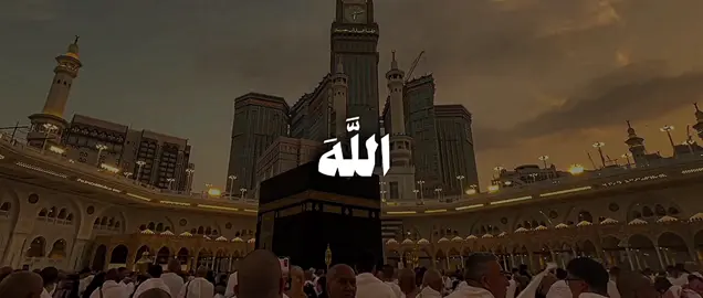 إِنَّ ٱللَّهَ وَمَلَـٰۤىِٕكَتَهُۥ یُصَلُّونَ عَلَى ٱلنَّبِیِّۚ یَـٰۤأَیُّهَا ٱلَّذِینَ ءَامَنُوا۟ صَلُّوا۟ عَلَیۡهِ وَسَلِّمُوا۟ تَسۡلِیمًا﴾ [الأحزاب ٥٦]  #علي_جابر #سورة_الأحزاب #قران #quran 