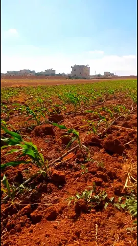 #مشاءالله_تبارك_الله_اذكروالله 