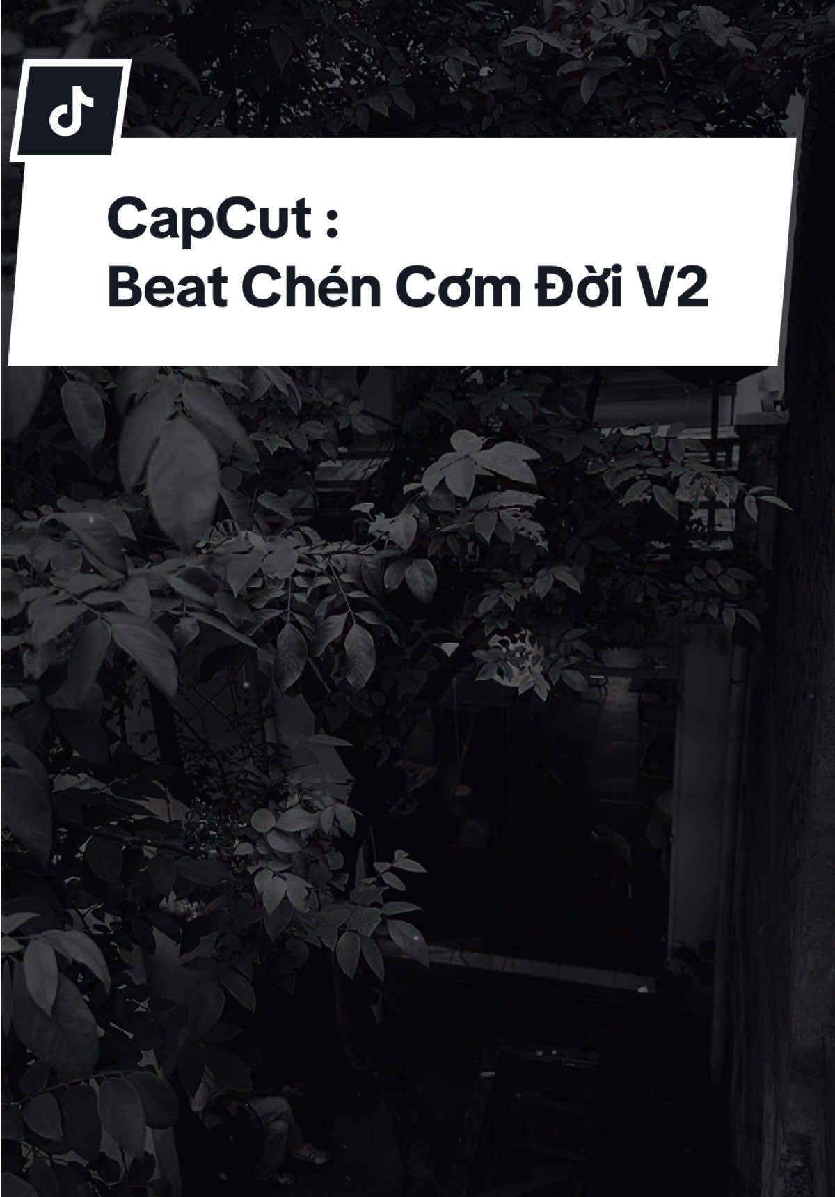 Tiếc Cho Mình Đã Không Gặp May Đời Lên Voi Xuống Chó… #CapCut #xuhuong #bietchua #nhacremix #chencomdoi 