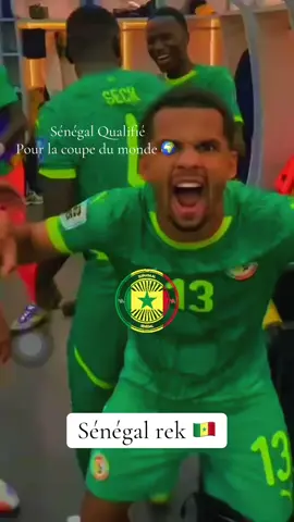 Nous somme pas metrizable  Sénégal qualifié pour la coupe du monde 🌍 ❤️#fyp #videoviral #senegalaise_tik_tok🇸🇳pourtoichallenge #europe #CapCut 