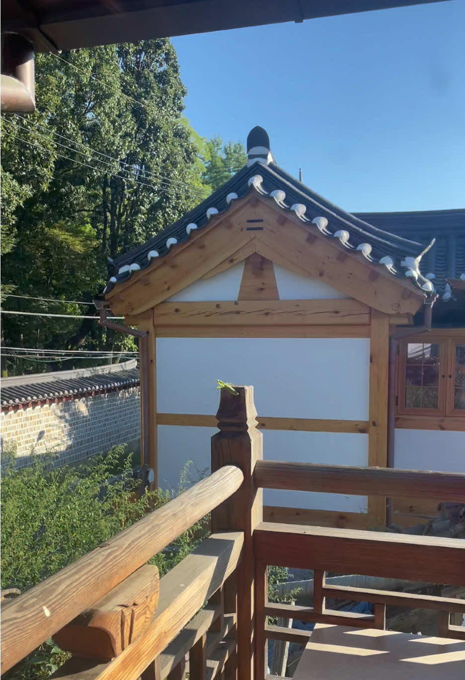 areyoudancing? #dance #Mantis #korea #fyp #fypシ゚ 