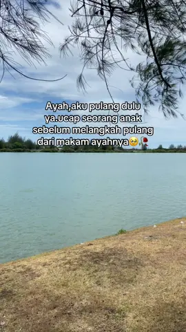 Al fatihah ayah🤲🏻#ayah #kangenayah #surgaallah 